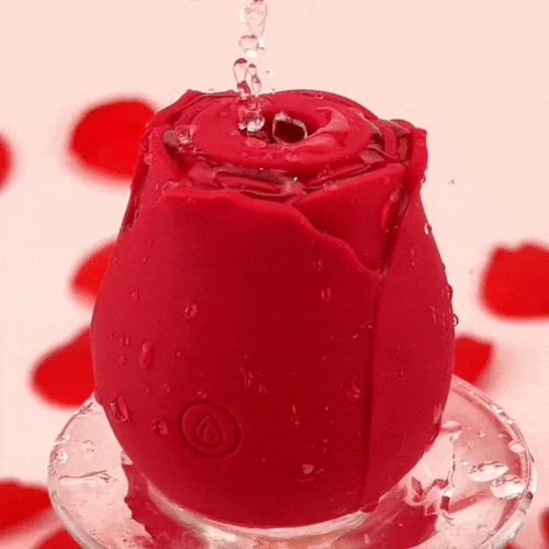 Rose Sucker Meeting Happy Jumping Egg Female Vibration Masturbator Private Nipple Teasing