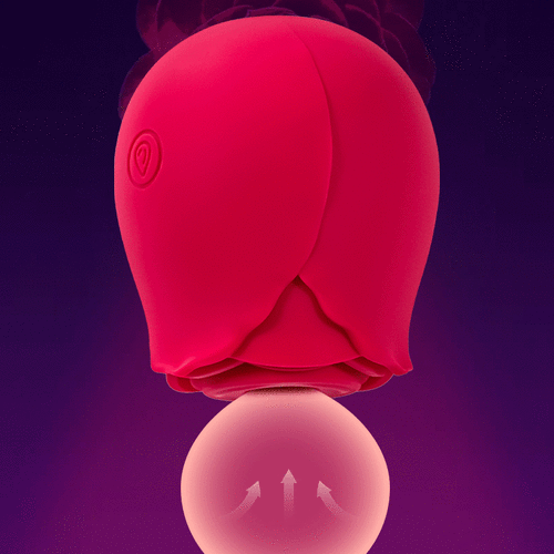Rose Sucker Meeting Happy Jumping Egg Female Vibration Masturbator Private Nipple Teasing